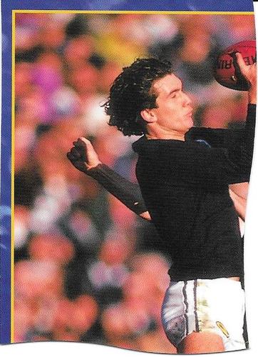 1995 Bewick Enterprises AFLPA Football Quarters #19 Stephen Silvagni Back